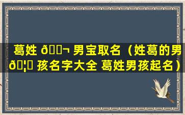 葛姓 🐬 男宝取名（姓葛的男 🦊 孩名字大全 葛姓男孩起名）